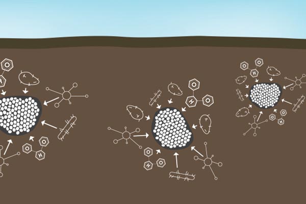 ����̿��������